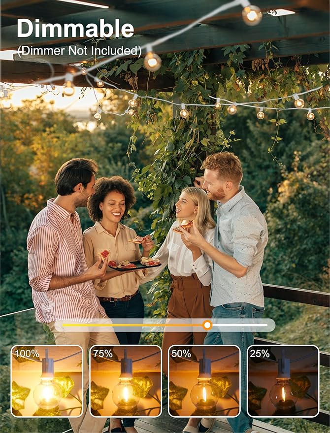 String Lights 69 Ft Dimmable Outdoor LED, 30 G40 Bulbs