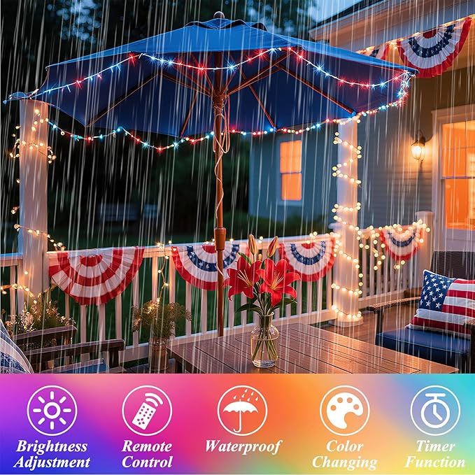 Indoor String Lights, 66ft 200 LED Color Changing with Remote