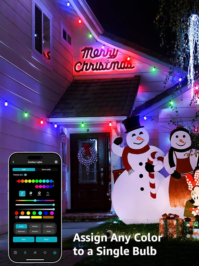 String Lights Outdoor RGBIC Smart LED with App and Voice Control