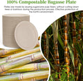 Disposable Paper Plates, 6 Inch Round Sugarcane, 500 Count