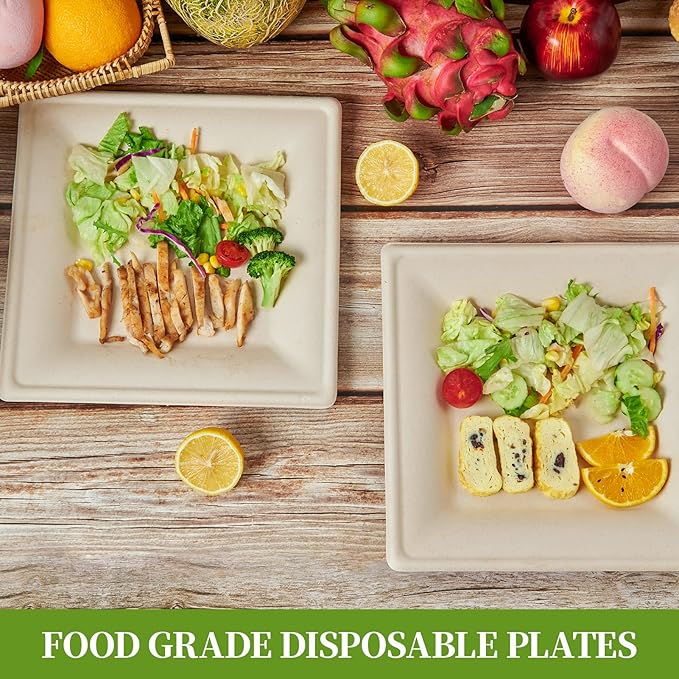 Disposable Plates, 6 Inch Square, 125 Count, Compostable Sugarcane
