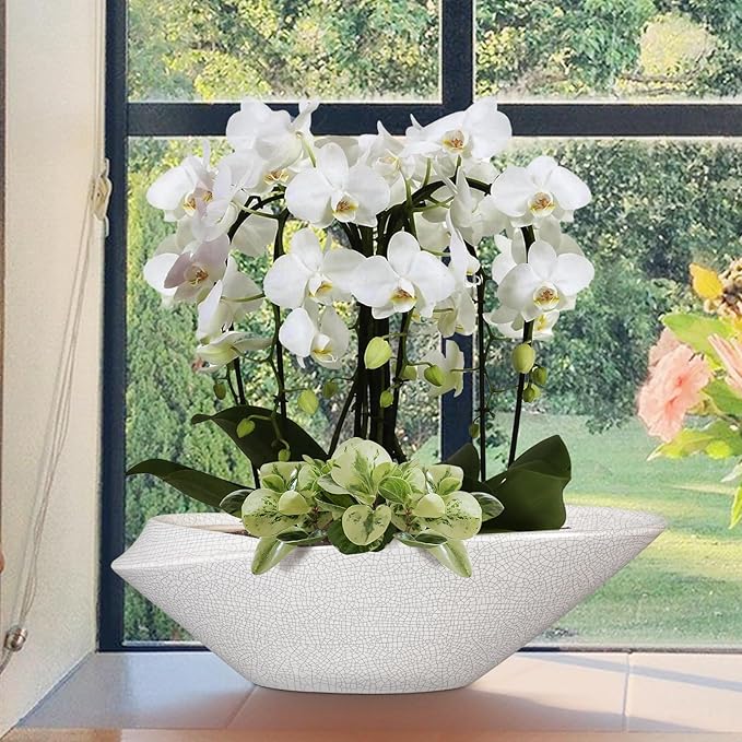 Bonsai Pots - 18 Inch Ceramic Plant Pot for Bonsai Tree, Modern Indoor & Outdoor Succulent Planter with Drainage, Room Decor, Gifts for Plant Lovers, White-Black