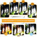 Outdoor String Lights 2-Pack 48 ft Dimmable LED with Remote, 3 Color Options