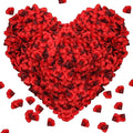 2000Pcs Rose Petals, Artificial Flower Petals Fake Rose Petals for Romantic Night,Wedding,Proposal Anniversary Flower Decorations (Big Red Dot Black, 2000pcs)