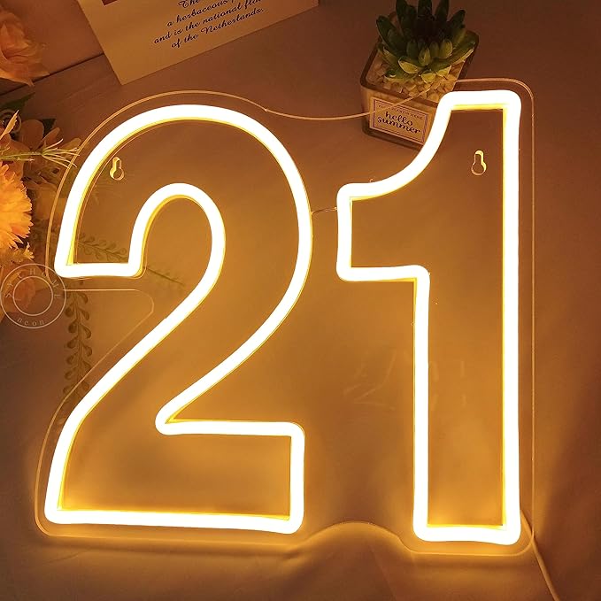 Lighted Neon Sign for 21st Birthday, Pink and Ice Blue, USB Powered