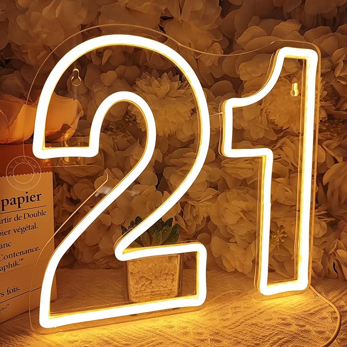 Lighted Neon Sign for 21st Birthday, Pink and Ice Blue, USB Powered