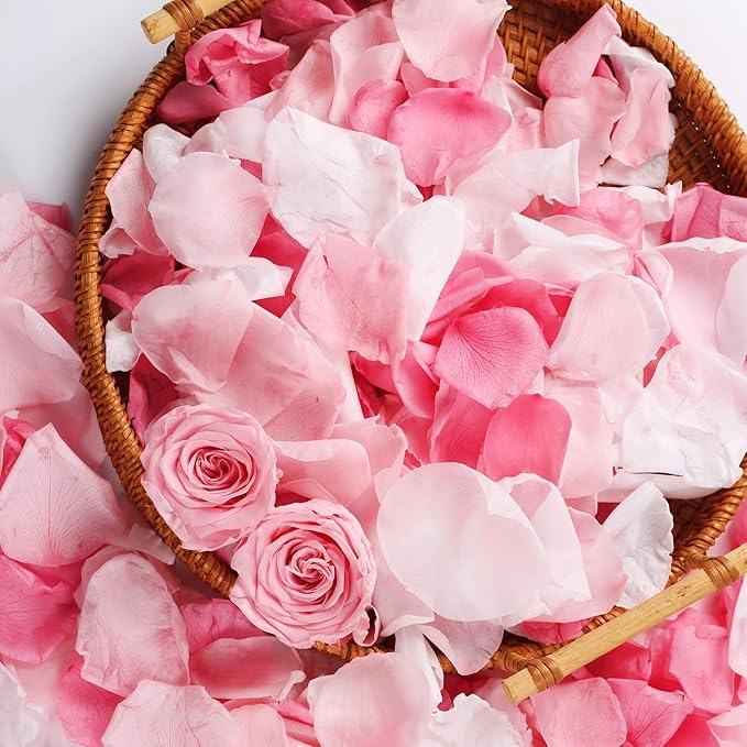 180 PCS Real Pink White Rose Flower Petals Confetti for Wedding to Throw, 1.75oz Freeze Dried Rose Petal for Proposal Centerpieces Romantic Night Decor