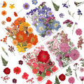 80 Pcs Dried Pressed Flowers for Crafts, Real Natural Dried Pressed Flowers in Vibrant Multicolor Tones for Resin, DIY Art, Jewelry, Candle & Soap Making – Tweezers Included