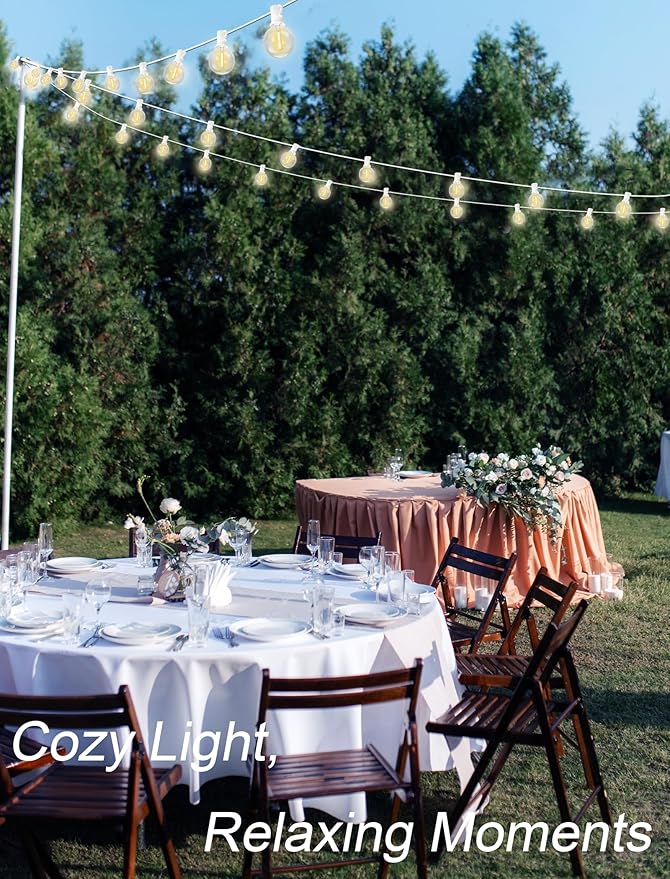 String Lights: 25-Foot G40 LED, Warm White, Outdoor Globe Style