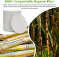 Small Paper Plates 6 Inch Sugarcane 500 Count White Round