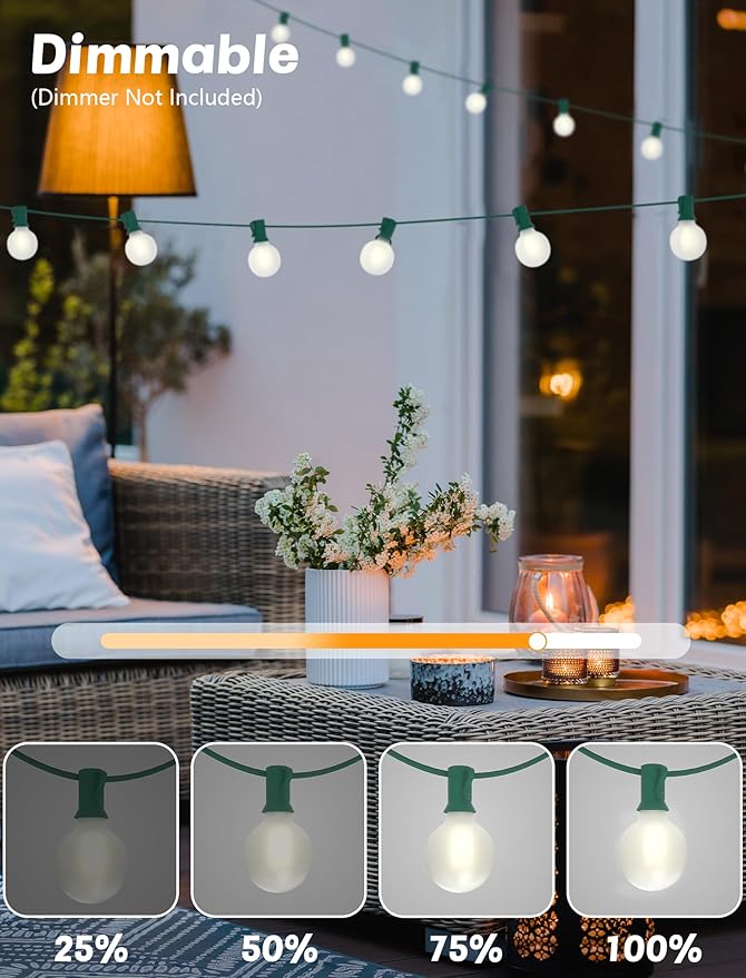 String Lights: 25 Ft G40 Globe, 27 Frosted White LED Bulbs