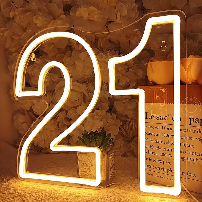 Lighted Neon Sign for 21st Birthday, Pink and Ice Blue, USB Powered