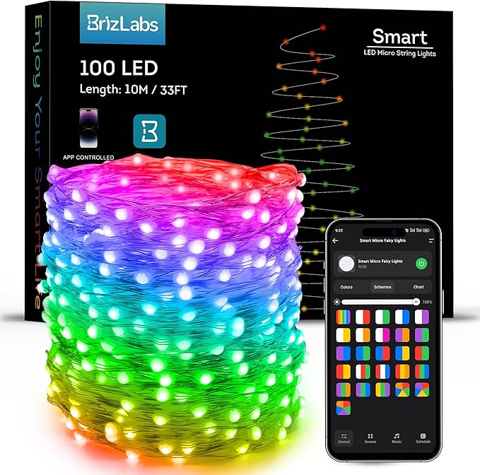 Indoor String Lights, 33 ft 100 LED Silver Wire, App and Voice Control