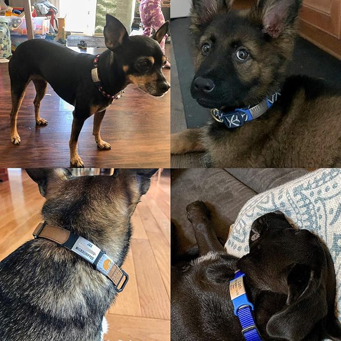 Personalized Dog/Cat ID Tags - Custom Engraved Name Tags - Slide On, No Noise - Small, Medium, Large Sizes
