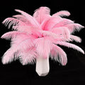 THARAHT Pink Ostrich Feathers 12pcs Natural Bulk 10-12Inch 25cm-30cm for Crafts Wedding Party Centerpieces Easter Gatsbi and Home Decoration Feathers