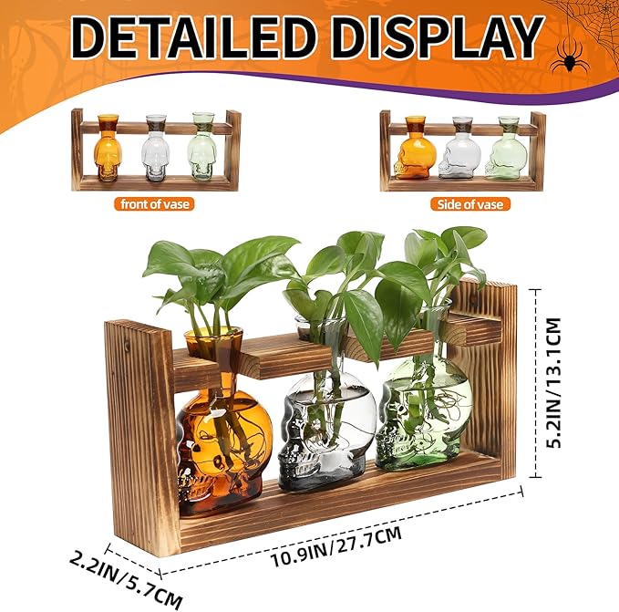 Terrarium Skull Propagation Vases, 3 Glass Bottles with Wood Stand