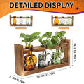 Terrarium Skull Propagation Vases, 3 Glass Bottles with Wood Stand