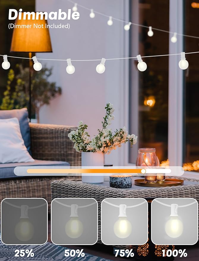 String Lights, 25 ft G40 LED Outdoor Patio Lights with 27 Frosted White Bulbs