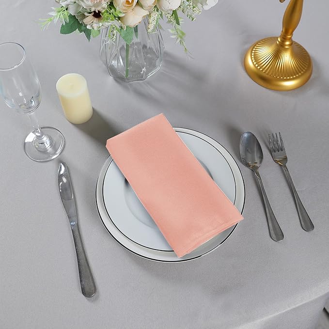 Cloth Napkins 20x20 inch Washable Polyester Dinner Napkins Soft Table Napkins for Wedding Party Dining Banquet(Dusty Pink,12PCS)