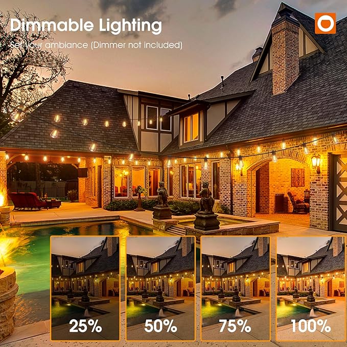 String Lights, 72 ft Outdoor Edison Bulb Set in Black, Warm White