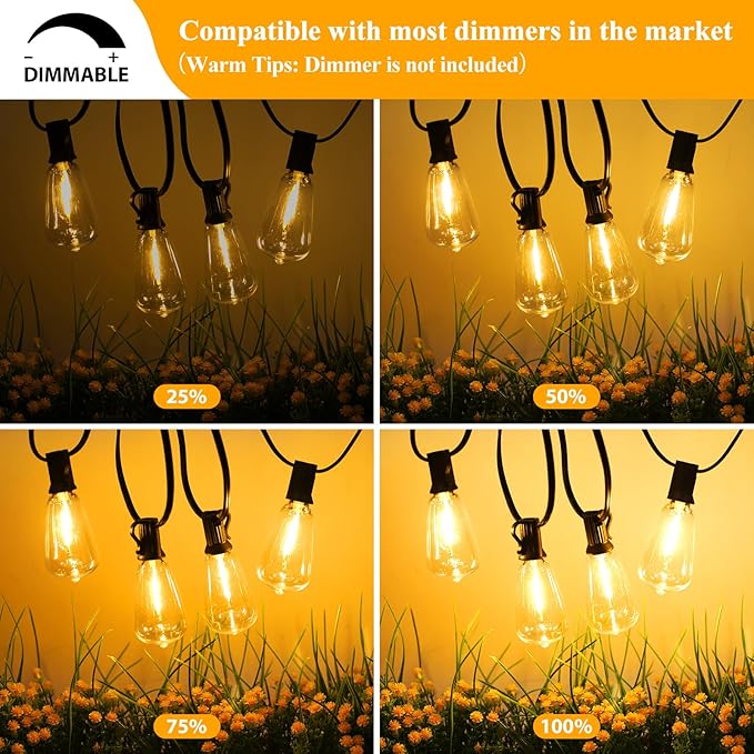 String Lights 100FT Outdoor with 52 Edison Bulbs, Black Wire