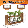 Terrarium Propagation Station, Skull Glass Vases in Grey Green Pink