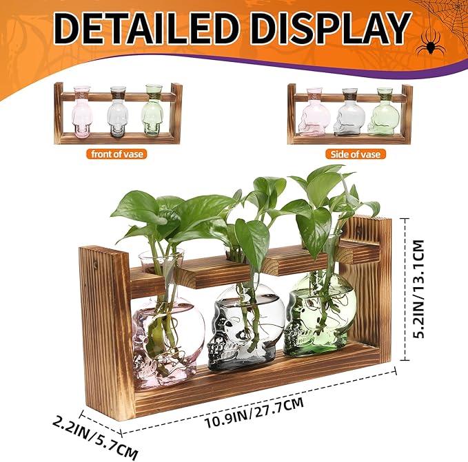 Terrarium Propagation Station, Skull Glass Vases in Grey Green Pink
