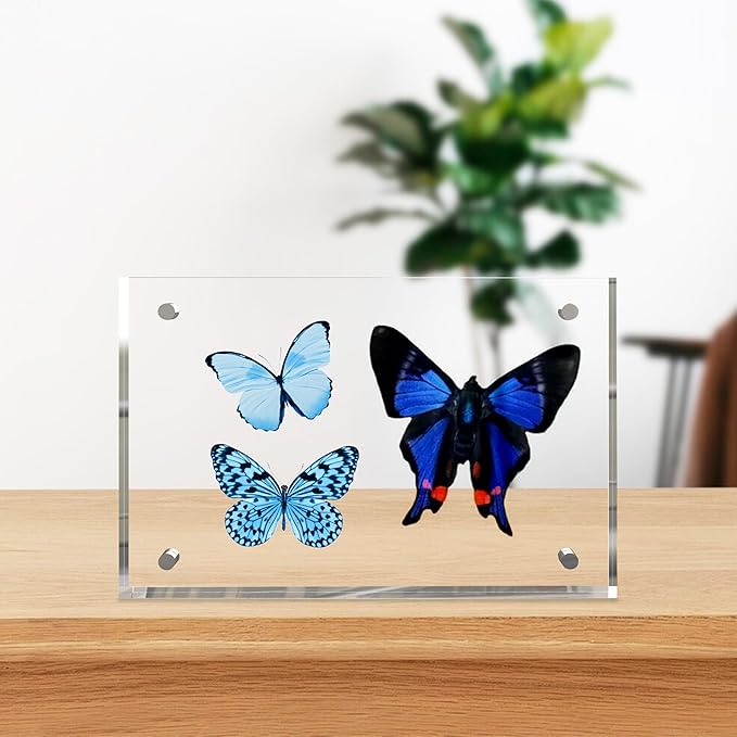 4x6 Inches Acrylic Picture Frames 3 Pack, Double Sided Magnetic Photo Frames,Free Standing on Desk or Table Clear Picture Frames