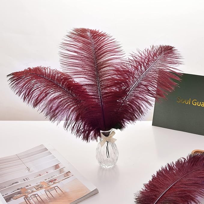 Ballinger Burgundy Large Ostrich Feathers - 12Pcs 14-16inch Large Wine Red Feathers for Vase, Wedding Party Centerpieces and Halloween Home Decor