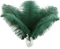 Ballinger Blackish Green Ostrich Feathers Bulk- 24pcs 8-10inch for Wedding Party Centerpieces Christmas Decor
