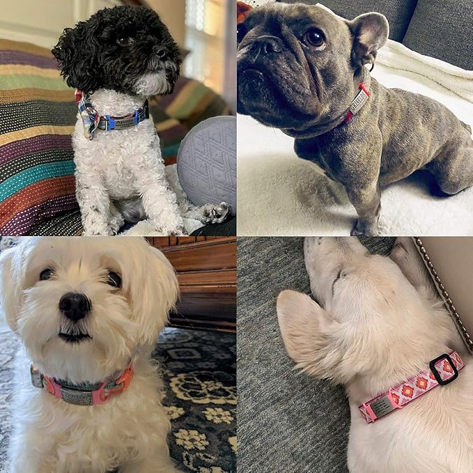 Personalized Engraved Dog & Cat ID Tags - Slide On, Silent, Custom Collar Tags for Small, Medium, Large Pets