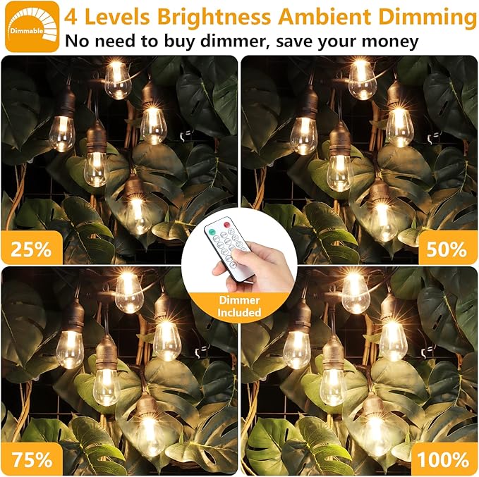String Lights 48 ft Outdoor LED Edison Bulbs with Dimmable Remote