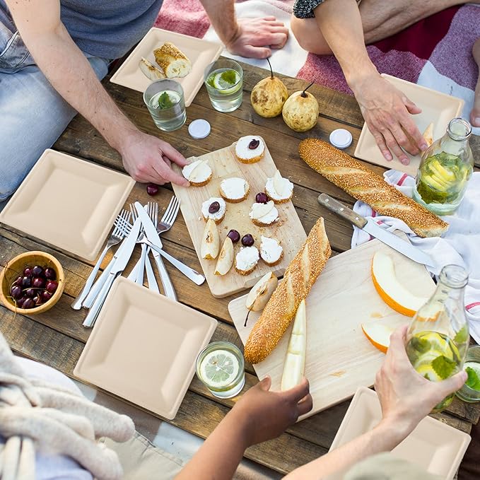 Disposable Plates, 6 Inch Square, 125 Count, Compostable Sugarcane