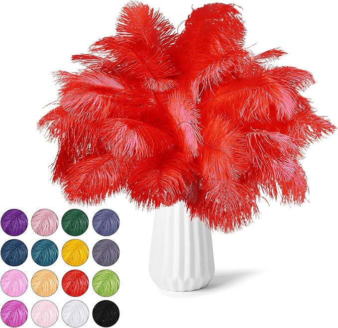 NEWONG 30pcs Red Ostrich Feathers Natural Bulk 9-12inch(23-30cm) Vase Craft Wedding Home Party Centerpieces Christmas Day Decoration