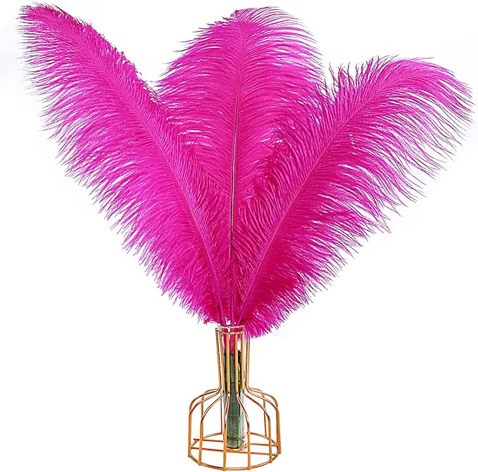 THARAHT 12pcs Hot Pink Ostrich Feathers Natural Bulk 14-16Inch 35cm-40cm for Wedding Party Centerpieces Easter Gatsby and Home Decorate Ostrich Feathers