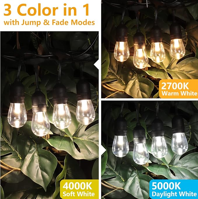 String Lights 48 ft Outdoor LED Edison Bulbs with Dimmable Remote
