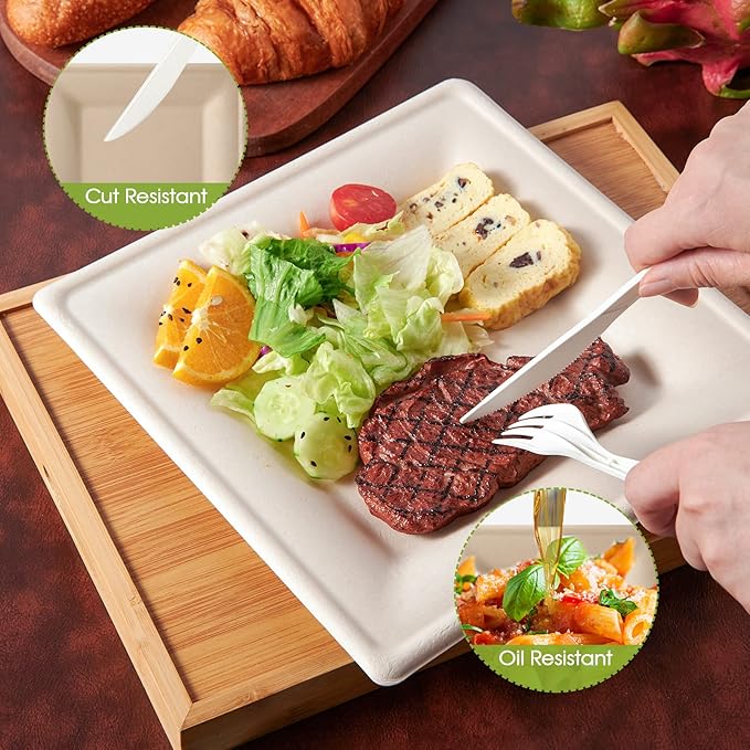 Disposable Plates, 6 Inch Square, 125 Count, Compostable Sugarcane