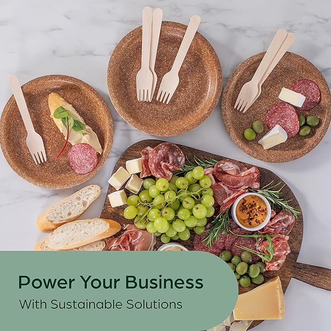 Birch Compostable Disposable Forks, 300 Count, Natural Finish