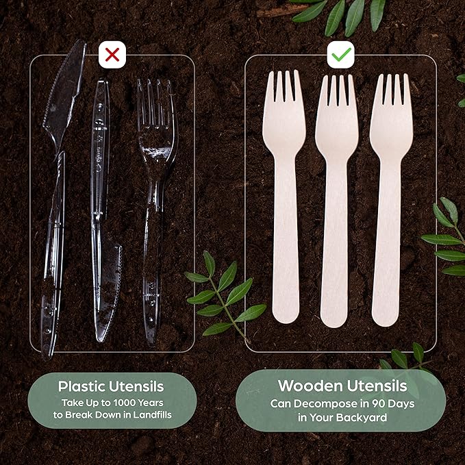 Birch Compostable Disposable Forks, 300 Count, Natural Finish