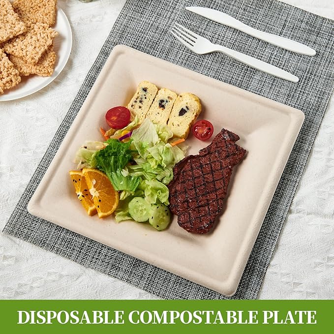 Disposable Plates, 6 Inch Square, 125 Count, Compostable Sugarcane