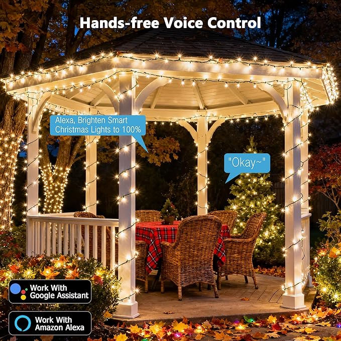 Indoor String Lights 65.61ft 200 LED Warm White WiFi Smart Lights