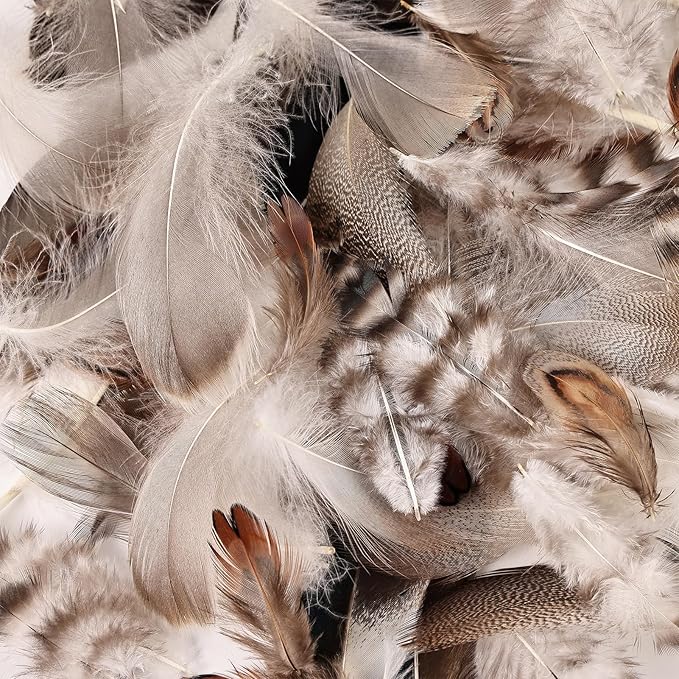 MAOFENG 210pcs 7 Styles Natural Bulk Feathers Assorted Mixed Feathers for DIY Crafts Dream Catcher Wedding Hair Hats Decoration,Guinea Fowl Feathers
