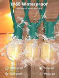 String Lights, 25 ft Globe G40 LED with 27 Bulbs and Green Wire
