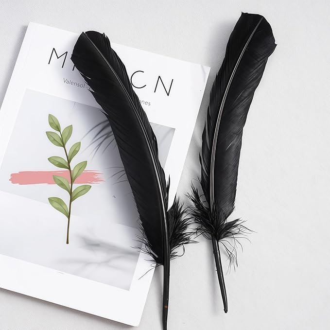 Black Turkey Feathers,22 Pcs Natural Feathers Bulk Long 10-12 inch (25-30cm),Turkish Feather for Crafts DIY Wedding Home Party Mardi Gras Decorations (Black)