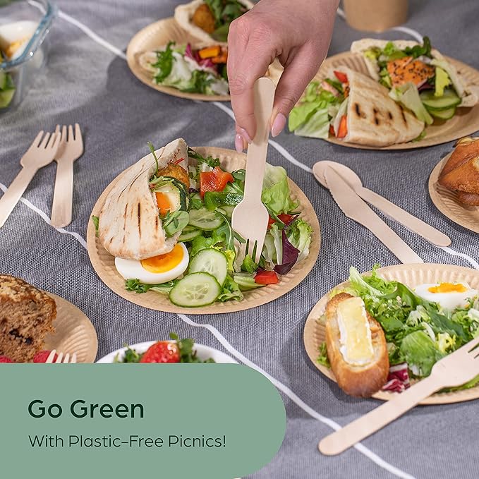 Birch Compostable Disposable Forks, 300 Count, Natural Finish